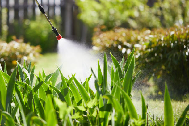 24/7 Emergency Mosquito Control experts in Cana, VA